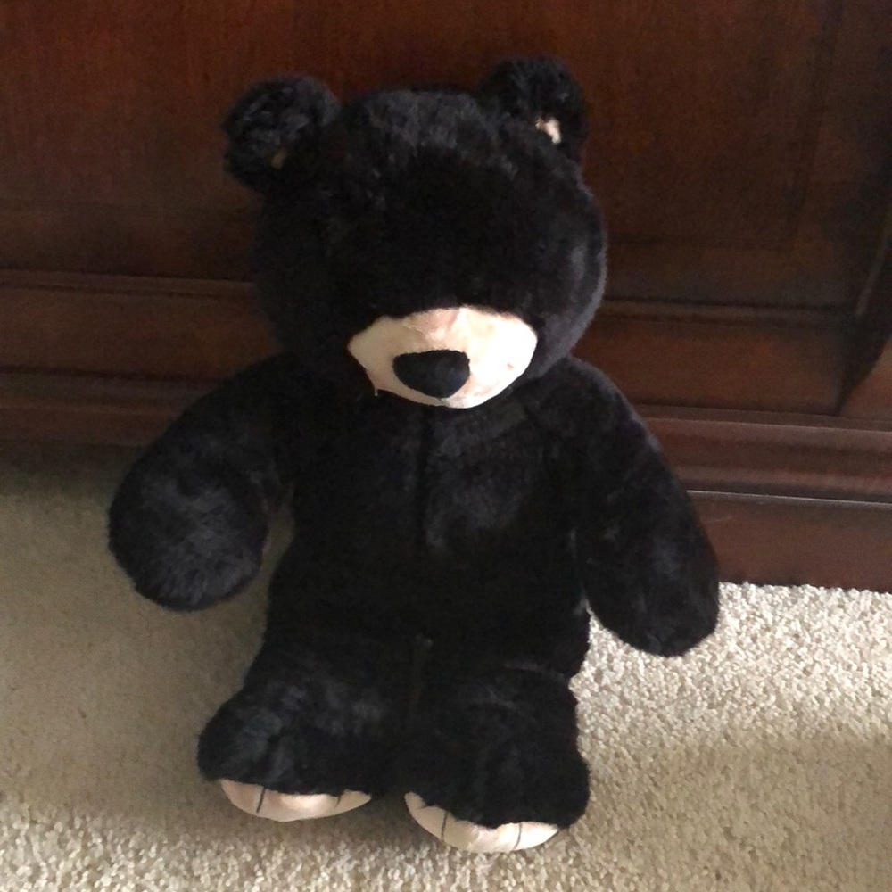 Build a Bear Teddy